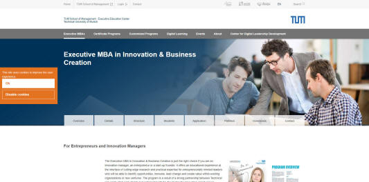 Technische University Muenchen Executive Program in Innovation & Business Creation