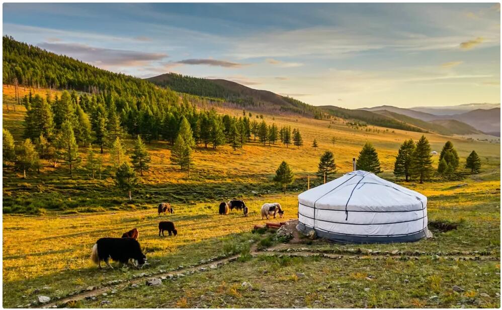 Best Travel Time and Climate for Mongolia