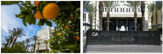 California State University Fullerton Review (16)