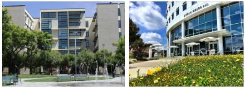 California State University Fullerton Review (53)