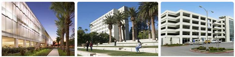 California State University Fullerton Review (82)