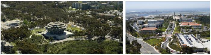 University of California San Diego Review (8)